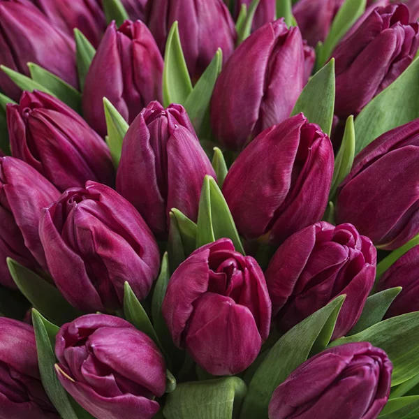 Венеция - букет из тюльпанов фиолетового цвета